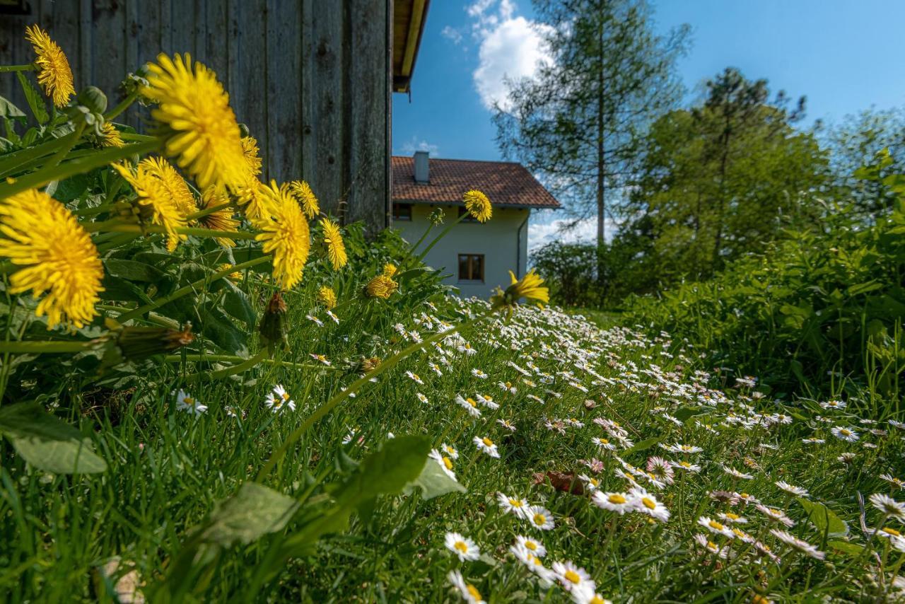 Ferienhaus Schlierachtal Miesbach Εξωτερικό φωτογραφία